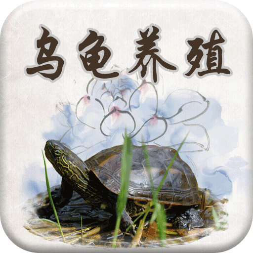 乌龟养殖_提供乌龟养殖1.1游戏软件下载_91安