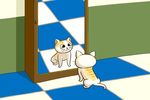 镜子里的小花猫for iPad_提供镜子里的小花猫f