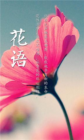 Hong Kong Florists Guide 香港花店圖片庫 - App Annie