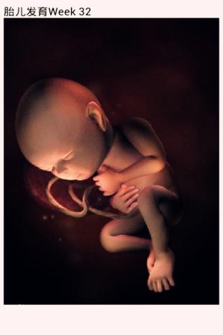 4D人体实拍胎儿发育