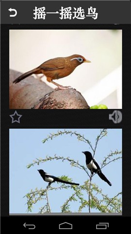 免費下載書籍APP|鸟类分类大全 app開箱文|APP開箱王