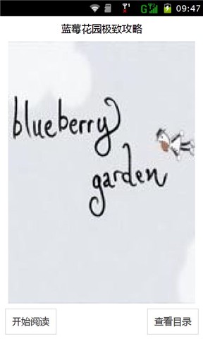 蓝莓花园极致攻略